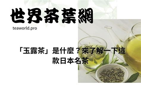 玉露是什麼|「玉露茶」是什麼？來了解一下這款日本名茶 